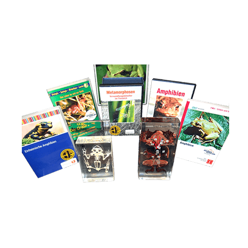 Amphibien / Frösche + LearningApps