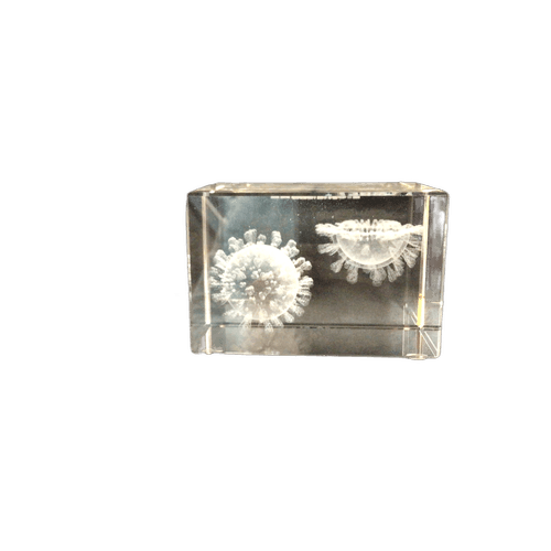 Coronavirus und Wöhler CDL 210 CO2-Datenlogger (Messgerät für CO2-Werte)