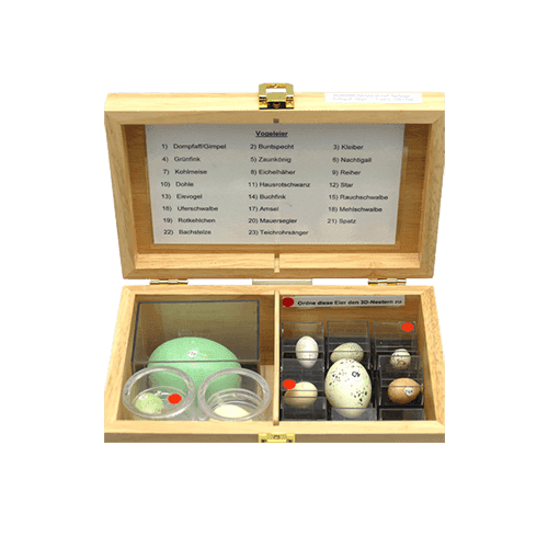Vogelnester + Learningapps
